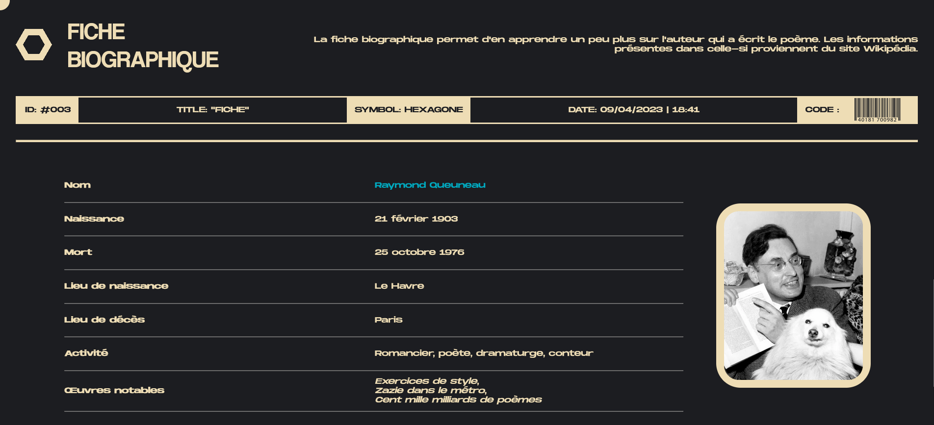 Aperçu de l'interface du site

